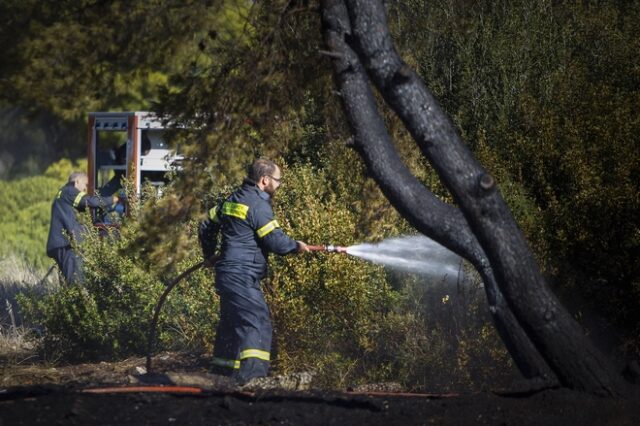 Υπό έλεγχο η φωτιά που ξέσπασε σε καλαμιές στο Πικέρμι