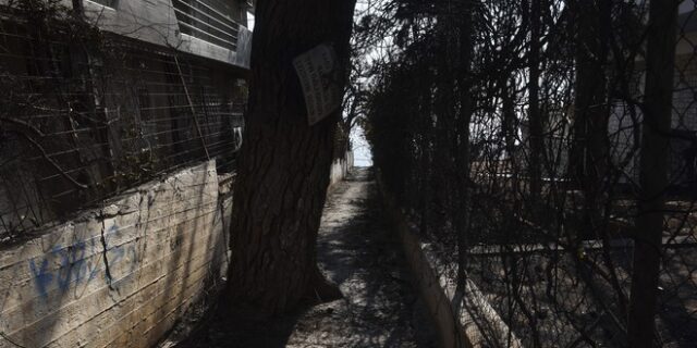 Μικελοπούλου: Ενημερώθηκα για τη σύσκεψη στην Περιφέρεια δύο ώρες πριν συγκληθεί