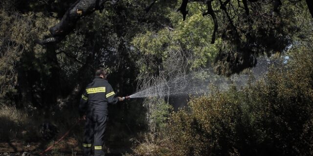 Χαλκιδική: Συνελήφθη 36χρονος με πέντε αναπτήρες σε περιοχή όπου εκδηλώθηκε φωτιά
