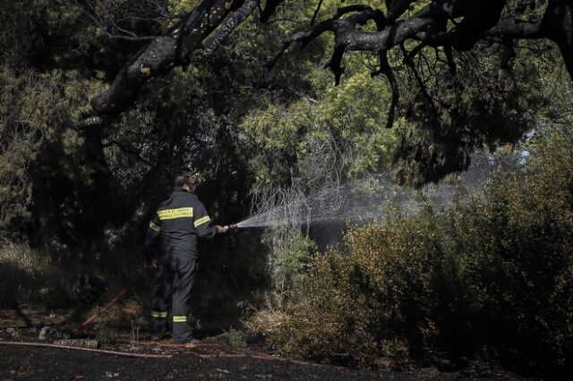 Χαλκιδική: Συνελήφθη 36χρονος με πέντε αναπτήρες σε περιοχή όπου εκδηλώθηκε φωτιά