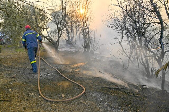 Φωτιά στην Εύβοια: Άμεση χαρτογράφηση της περιοχής που έχει πληγεί