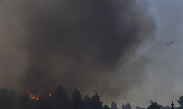 Φωτιά στην Εύβοια: Σε πλήρη εξέλιξη το πύρινο μέτωπο – Συγκλήθηκε το Συμβούλιο Διαχείρισης Κρίσεων