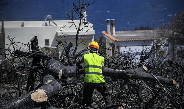 Κυβέρνηση: Τι έχει γίνει στο Μάτι ένα μήνα μετά