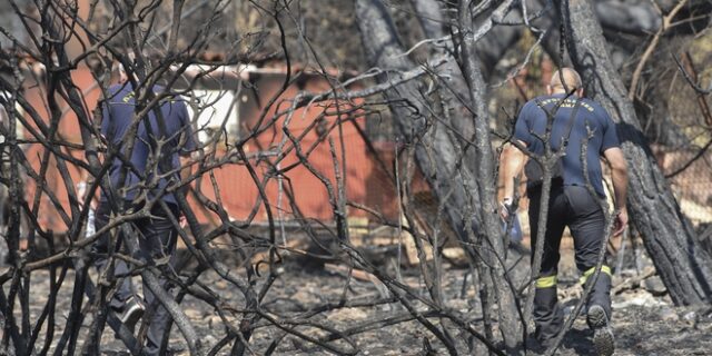 Sepura: Ένα ακόμη σύστημα που χρυσοπληρώσαμε και δεν λειτούργησε