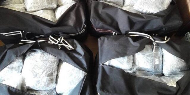 Έκρυψε πάνω από 263 κιλά κάνναβης μέσα σε θάμνους