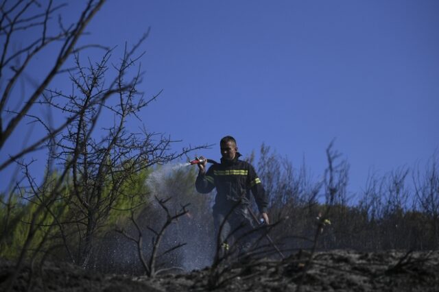 Σε ύφεση η πυρκαγιά στις Ροβιές Ευβοίας