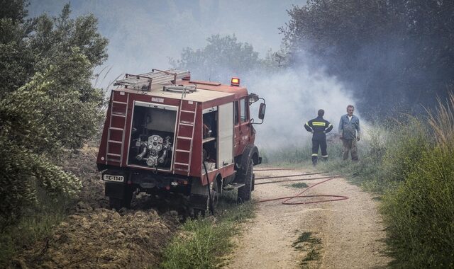 Φωτιά σε δασική έκταση στα Διάσελλα Ηλείας