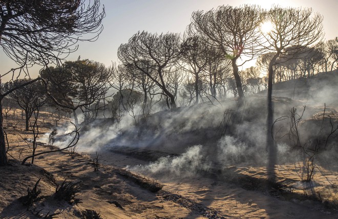 Ισπανία: Μεγάλη φωτιά απειλεί το φυσικό πάρκο ελ Εστρέχο