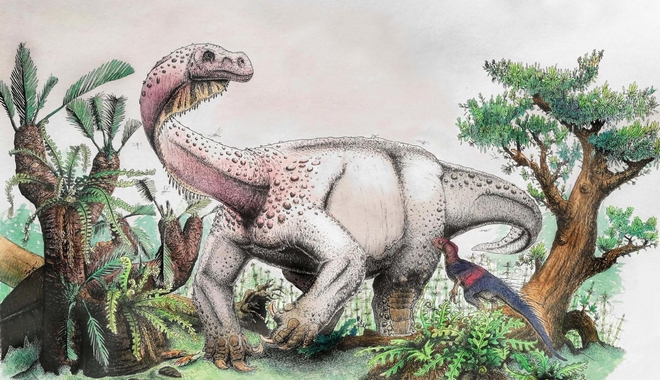 Ν. Αφρική: Ανακαλύφθηκε νέο είδος γιγάντιου δεινοσαύρου