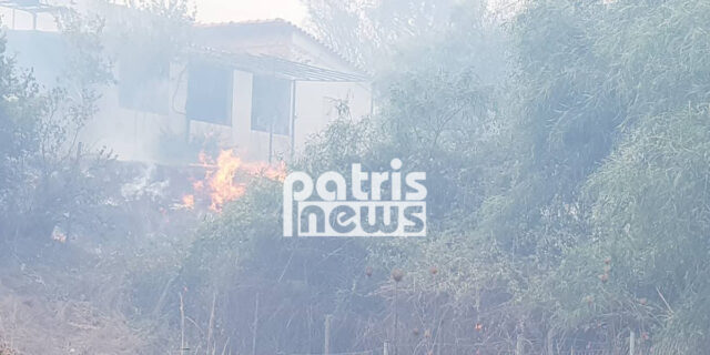 Φωτιά στην Ηλεία: Οι φλόγες “έγλειψαν” σπίτια – Κάηκαν δυο αποθήκες