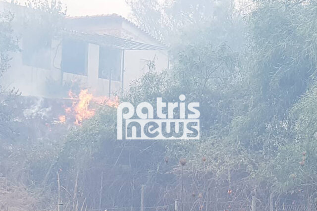 Φωτιά στην Ηλεία: Οι φλόγες “έγλειψαν” σπίτια – Κάηκαν δυο αποθήκες