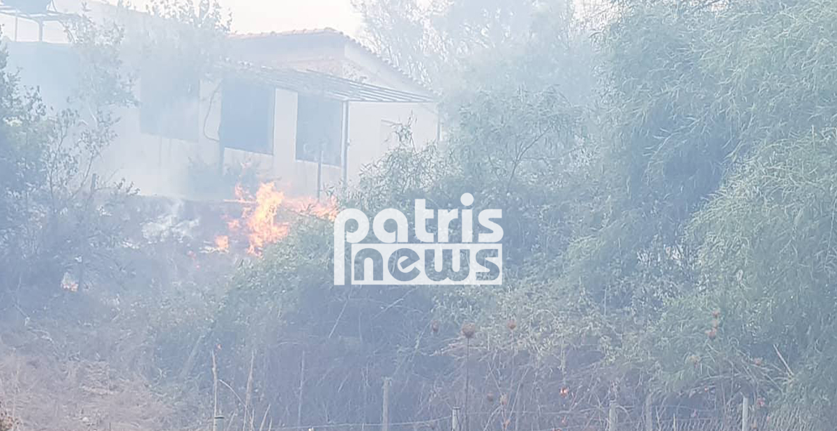 Φωτιά στην Ηλεία: Οι φλόγες “έγλειψαν” σπίτια – Κάηκαν δυο αποθήκες