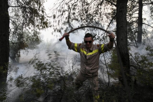 Φωτιές σε Μαραθώνα και Αρκαδία – Υπό μερικό έλεγχο τα μέτωπα σε Αχαΐα, Κεφαλονιά