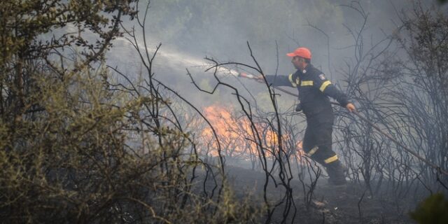 Υπό έλεγχο η φωτιά στα Λεχαινά – Άνοιξε η εθνική Πατρών-Πύργου