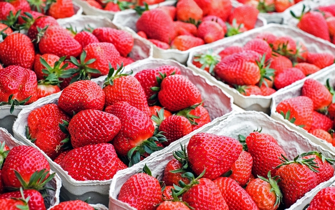 Αυστραλία: Συνελήφθη 50χρονη για την υπόθεση με τις βελόνες στις φράουλες