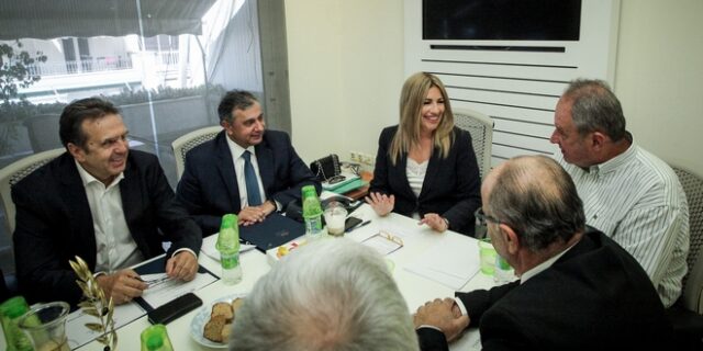 Γεννηματά: Μείωση του φόρου στις μικρομεσαίες επιχειρήσεις