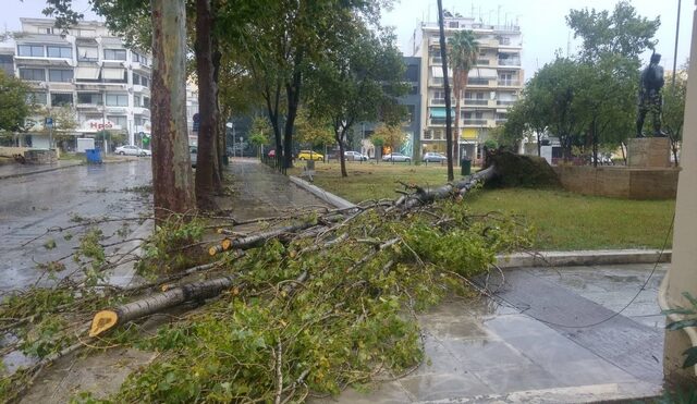 Σε επιφυλακή εν μέσω κυκλώνα Ζορμπά η Καλάματα: Υποχώρησαν σκαλωσιές και κάγκελα – Έπεσαν δένδρα