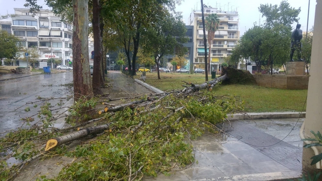 Σε επιφυλακή εν μέσω κυκλώνα Ζορμπά η Καλάματα: Υποχώρησαν σκαλωσιές και κάγκελα – Έπεσαν δένδρα