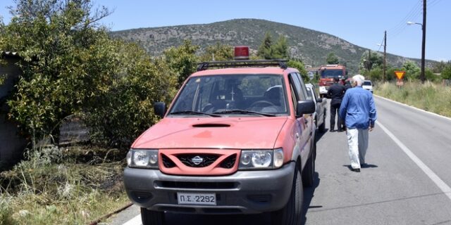 Συνελήφθη 44χρονος για εμπρησμούς στον Δήμο Αρχαίας Ολυμπίας