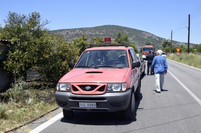 Συνελήφθη 44χρονος για εμπρησμούς στον Δήμο Αρχαίας Ολυμπίας