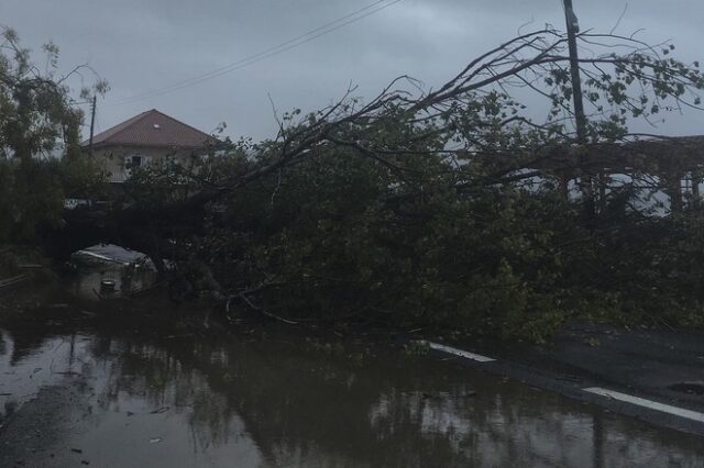 Κυκλώνας Ζορμπάς: Κλειστός ο δρόμος Γιάλοβα – Πύλος λόγω πτώσης δέντρων