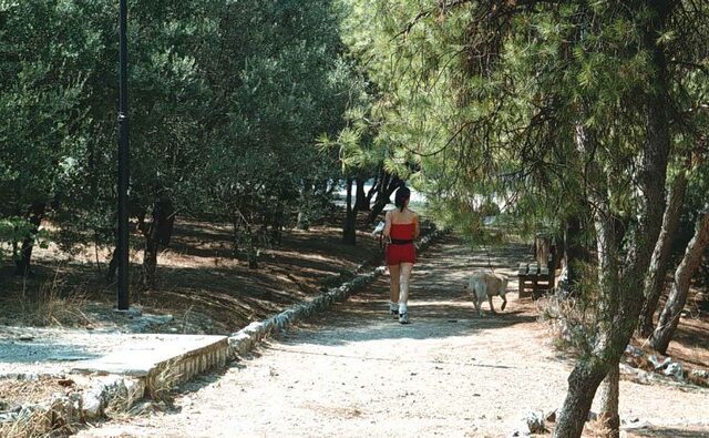 Βήματα καρδιάς… ανάσες ζωής