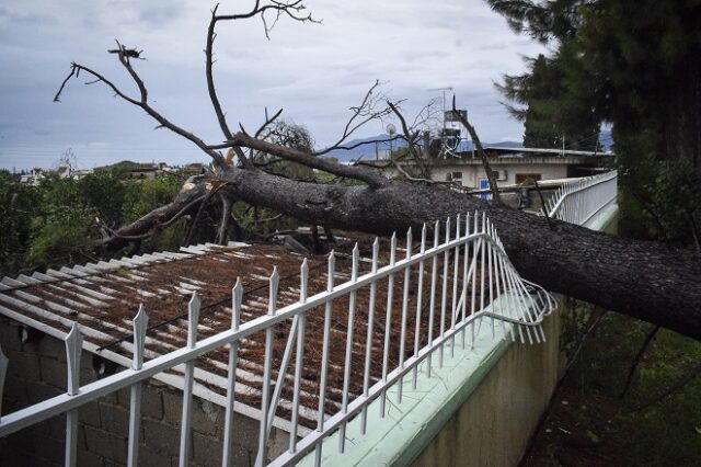 Κακοκαιρία: 1.800 κλήσεις δέχτηκε η Πυροσβεστική