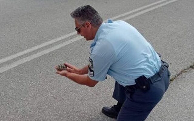 Υπάρχει και αυτή η ΕΛΑΣ – Αστυνομικός βοήθησε χελωνάκι να περάσει το δρόμο