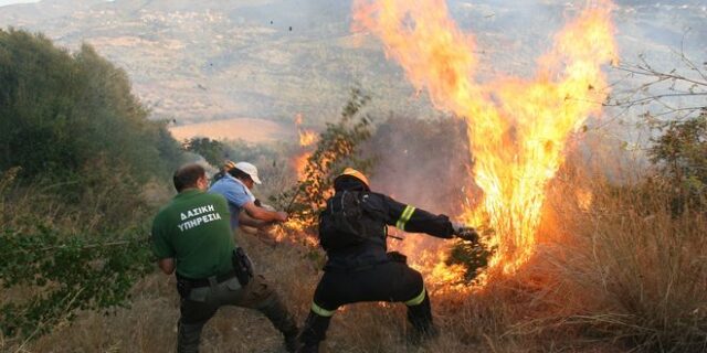 Αλλαγή του μοντέλου δασοπυρόσβεσης ζητούν οι δασολόγοι