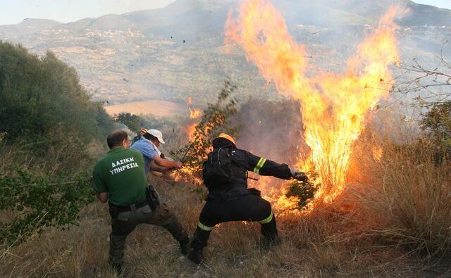 Αλλαγή του μοντέλου δασοπυρόσβεσης ζητούν οι δασολόγοι