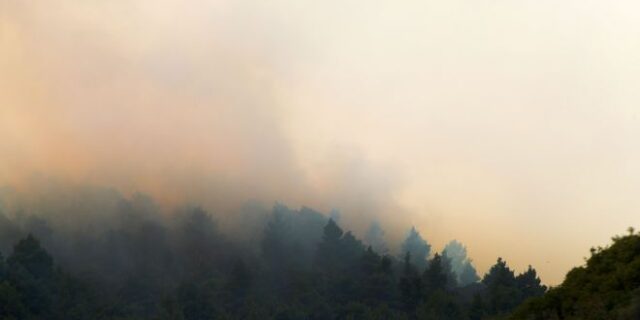 Δορυφορικές εικόνες από την φωτιά στη Σιθωνία: Μέχρι την Εύβοια  ο καπνός