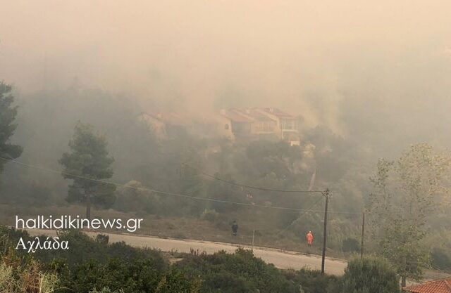 Φωτιά στη Χαλκιδική: Ολονύχτια μάχη με τις φλόγες στη Σάρτη – Ζητήθηκαν και άλλες ενισχύσεις