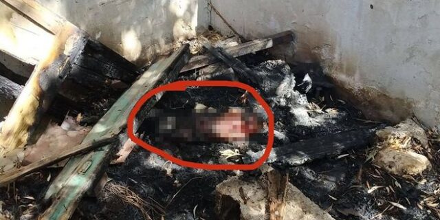 Κτηνωδία στην Κρήτη: Έκαψαν ζωντανό σκυλί μέσα στο σπιτάκι του