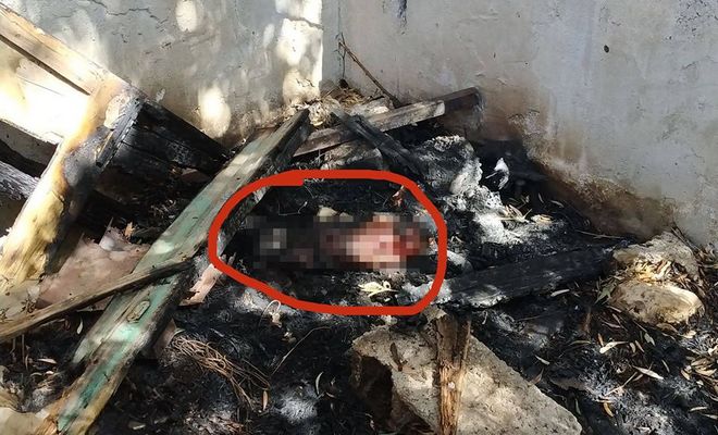 Κτηνωδία στην Κρήτη: Έκαψαν ζωντανό σκυλί μέσα στο σπιτάκι του
