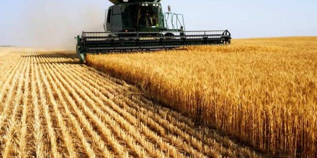 Βασική Ενίσχυση: Μέχρι τέλος Οκτωβρίου 700 εκατ. ευρώ σε 536.000 δικαιούχους