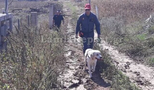 Εύβοια: Ψάχνουν παντού για την 58χρονη αγνοούμενη από το Μαντούδι