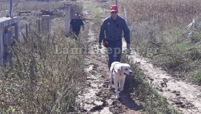 Εύβοια: Ψάχνουν παντού για την 58χρονη αγνοούμενη από το Μαντούδι