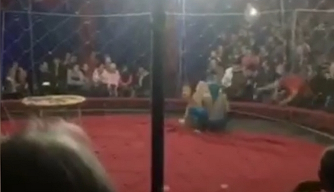 Σοκαριστικά πλάνα: Λιοντάρι επιτέθηκε σε 4χρονη σε τσίρκο