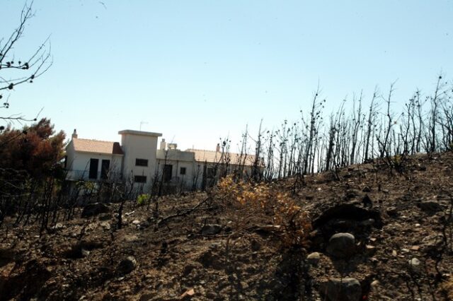 Σήμερα ή αύριο οι δασικοί χάρτες για την περιοχή γύρω από το Μάτι