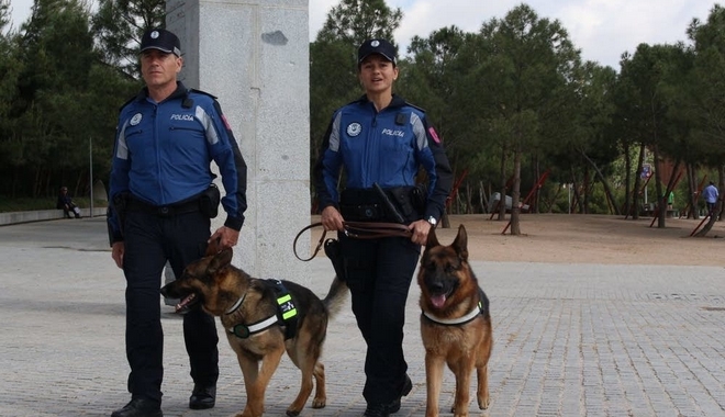 BINTEO: Μουσική θεραπεία για σκυλιά της αστυνομίας