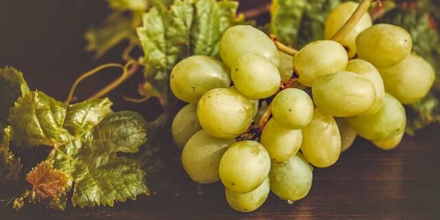 Έχουν μέλλον τα επιτραπέζια σταφύλια