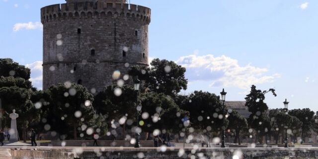 Θεσσαλονίκη: Δελφίνια κολυμπούν στον Θερμαϊκό