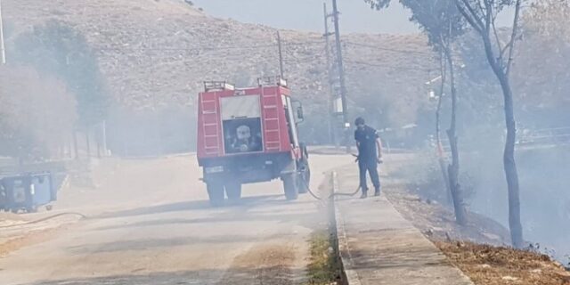 Τραγωδία στα Τρίκαλα: Νεκρός ηλικιωμένος σε ελαιώνα που πήρε φωτιά
