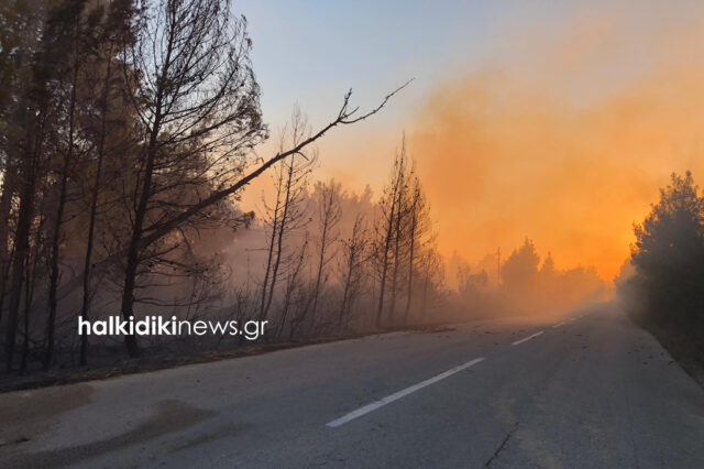 Μεγάλη φωτιά στη Σιθωνία Χαλκιδικής – Προληπτική εκκένωση οικισμού
