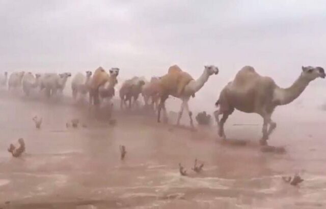 Εικόνες αποκάλυψης: Πλημμύρισε η έρημος στη Σαουδική Αραβία