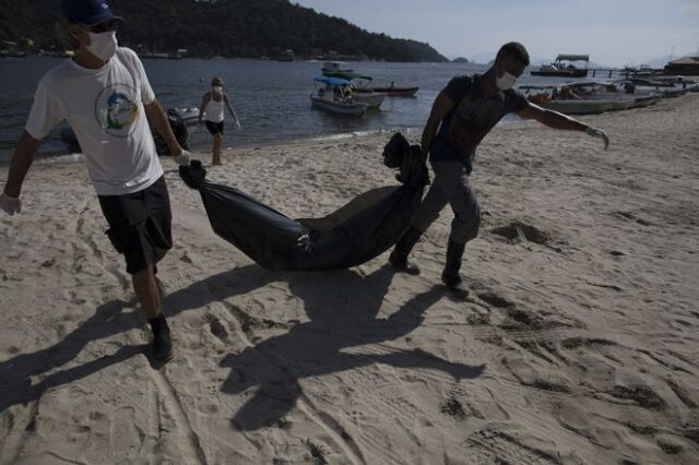Νέα Ζηλανδία: 150 μαυροδέλφινα ξεβράστηκαν σε ακτή