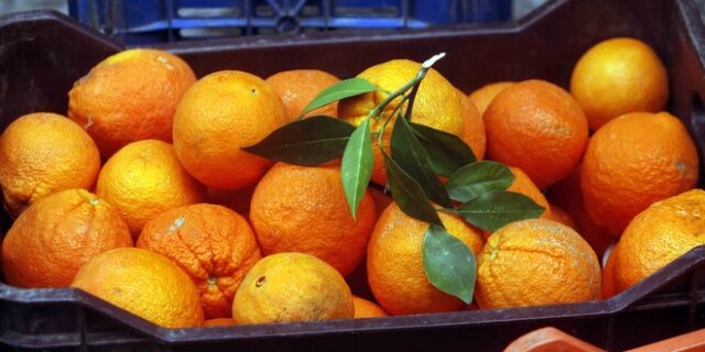 Κατασχέθηκαν 4,2 τόνοι οπωροκηπευτικών στον Πειραιά