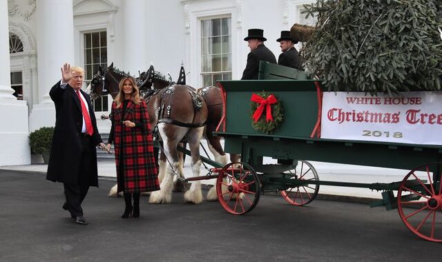 Ήρθαν τα Χριστούγεννα: Τραμπ και Μελάνια “υποδέχθηκαν” το δέντρο στο Λευκό Οίκο