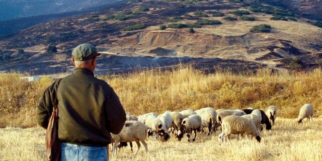 Μπουρτζόβλαχος: Από πού προέρχεται η λέξη