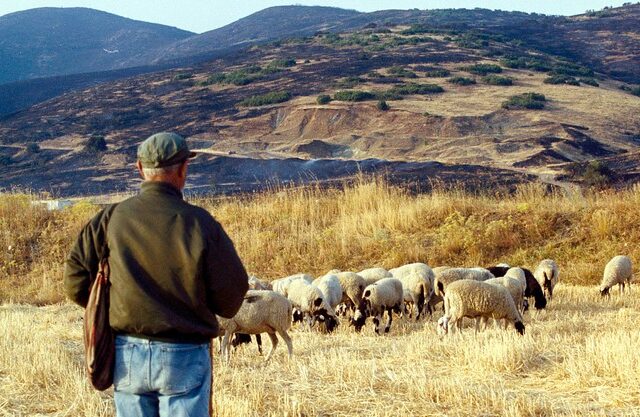 Μπουρτζόβλαχος: Από πού προέρχεται η λέξη